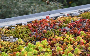 the cost of Dedham Heath green roof installation