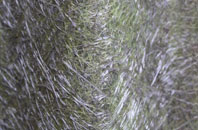 Dedham Heath fibreglass roof work